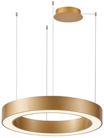 Azzardo AZ5045 - LED Stmievateľný luster na lanku MARCO LED/50W/230V zlatá + DO