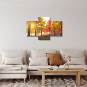 Obraz jesenných stromov (90x60 cm)