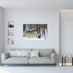 Obraz - Vlci v zime (90x60 cm)