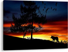 Obraz - Silueta vlka (70x50 cm)