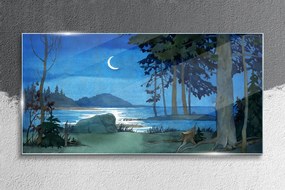 Skleneny obraz Maľovanie lesné morská noc