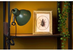 Lucide 45987/01/33 - Lampa s klipom MOYS 1xE27/40W/230V zelená