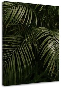 Obraz na plátně Monstera Palm Leaves Botanika - 80x120 cm