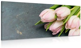 Obraz pastelovo ružové tulipány Varianta: 100x50