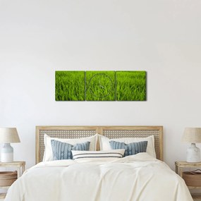 Obraz trávy (s hodinami) (90x30 cm)