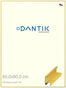 DANTIK rám na obraz 60x80 | ALU Dýha barevná žlutá citrus (Plexi Čiré)