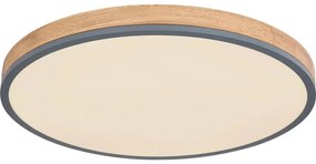 Globo 416080WD4R-CCT - LED Stmiev. stropné svietidlo DORO LED/40W/230V 2700-6500K + DO