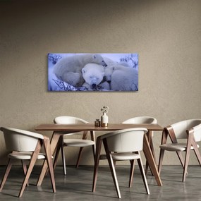 Obraz - Ľadové medvedíky (120x50 cm)