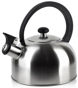 Rýchlovarná kanvica BORYS SILVER 2 l strieborná