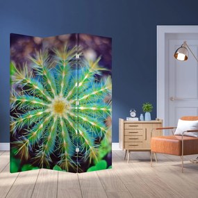 Paraván - Kaktus (126x170 cm)