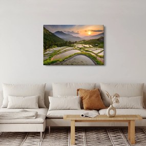 Obraz - Ryžové terasy (90x60 cm)