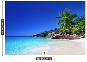 Fototapeta Vliesová Seychelská pláž 312x219 cm