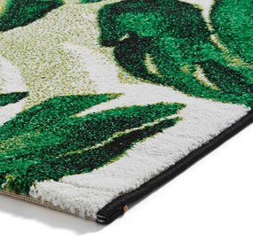 Tmavozelený koberec 80x150 cm Havana – Think Rugs