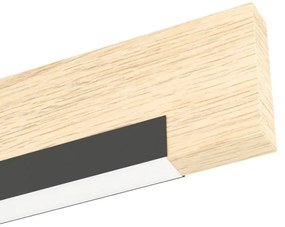 Eglo 99294 - LED Nástenné svietidlo CAMACHO LED/9,6W/230V