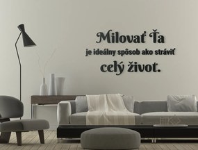 drevko Citát o láske Milovať ťa je ideálny spôsob, ako stráviť celý život Rozmer obrazu: 30,5 x 60 cm, Farba dekorácie: Čierna