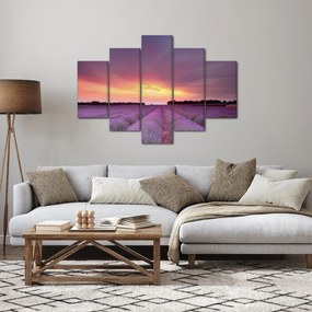 Obraz - Levanduľové pole (150x105 cm)