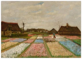Sklenený obraz - Vincent van Gogh, Flower Beds in Holland, reprodukcia (70x50 cm)