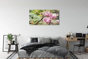 Obraz plexi Magnólia strom 125x50 cm