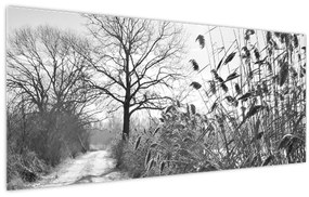 Obraz - Pole v zime (120x50 cm)