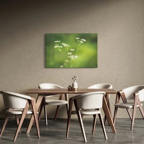 Obraz Sedmokrásky (90x60 cm)