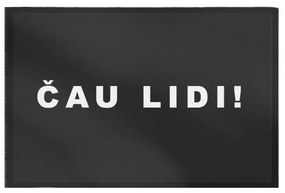 GDmats, Rohožka Čau lidi 40x60 cm – na von aj na doma, 40x60, šedá