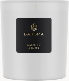 Vonná sviečka Waterlily & Amber (Bergamot, Watery Green Notes, Fresh Pear)