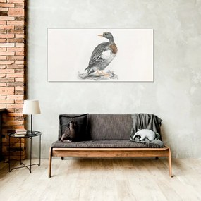 Obraz na skle Kreslenie zvierat vták kačica