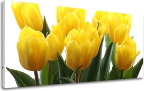 Obraz na stenu Panoráma KVETY XOBKV141E13 - 40x80 cm