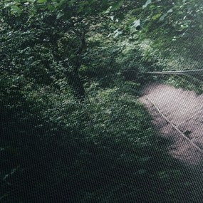 Obraz - Cesta lesom (150x105 cm)
