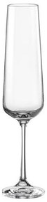Crystalex Poháre na sekt SANDRA 200 ml, 6 ks