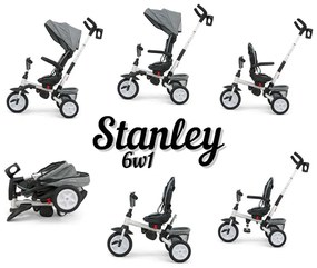 Detská trojkolka 6v1 Milly Mally Stanley pink