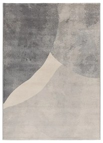 Sivý koberec 160x230 cm Monic – Universal