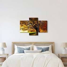 Obraz jesene (90x60 cm)