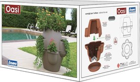 BAMA OASI, 80 x 80 cm, terracotta