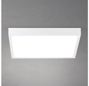 Orion - LED stmievateľné stropné svietidlo DISC LED/30W/230V 2700/3000/4000K 39x39 cm biela