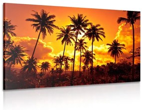 Obraz kokosové palmy na pláži Varianta: 120x80