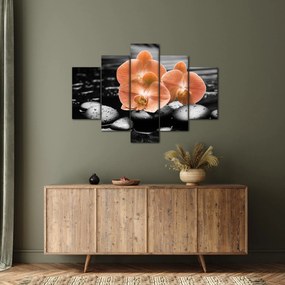 Obraz - Oranžové orchidey (150x105 cm)