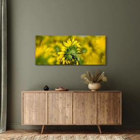 Obraz slnečnice (120x50 cm)