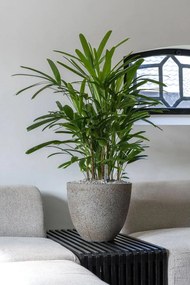 Kónický kvetináč VIRINGO, vláknocement, 33x29 cm, sivý