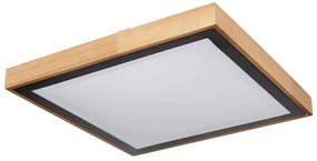 Globo 41764-24Q - LED Stropné svietidlo BRUNO LED/24W/230V 3000/4500/6000K