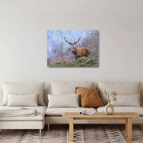 Sklenený obraz - Jeleň v krajine (70x50 cm)