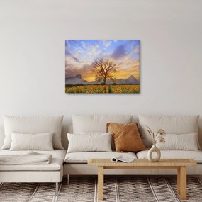 Obraz - Krajina so slnečnicami (70x50 cm)