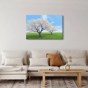 Obraz stromov (90x60 cm)