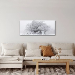 Obraz - Biela zima (120x50 cm)