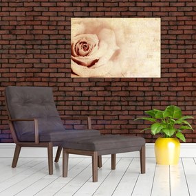 Obraz - Kvet ruže pre zaľúbených (90x60 cm)