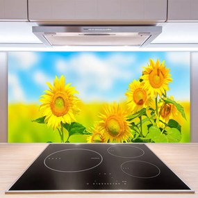 Sklenený obklad Do kuchyne Slnečnica kvety príroda 140x70 cm