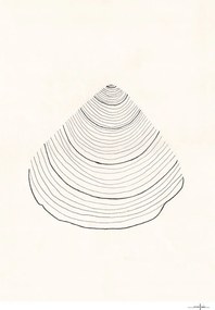 Moikka Plagát Shell by Ana Frois 30x40
