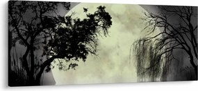 Obraz - Spln nad hladinou, čiernobiely variant (120x50 cm)