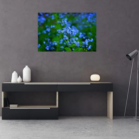 Obraz modrých kvetín (90x60 cm)