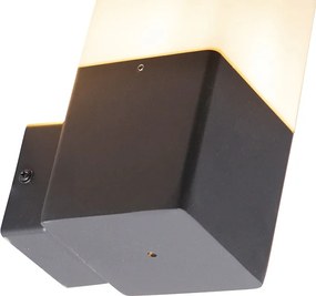 Vonkajšia nástenná lampa čierna s opálovým bielym tienidlom IP44 - Denmark